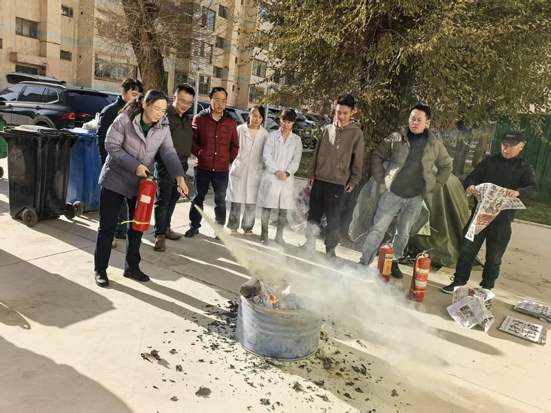 1764057381601991.jpg 2.jpg